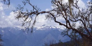 k-Bhutan-Druk-Path