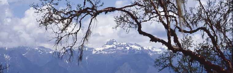k-Bhutan-Druk-Path