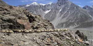k-Zanskar-Durchquerung k-Zanskar-Durchquerung