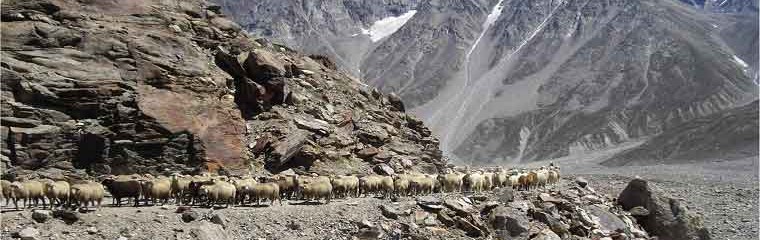 k-Zanskar-Durchquerung