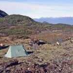 k-bhutan-druk-path-trek-bhu